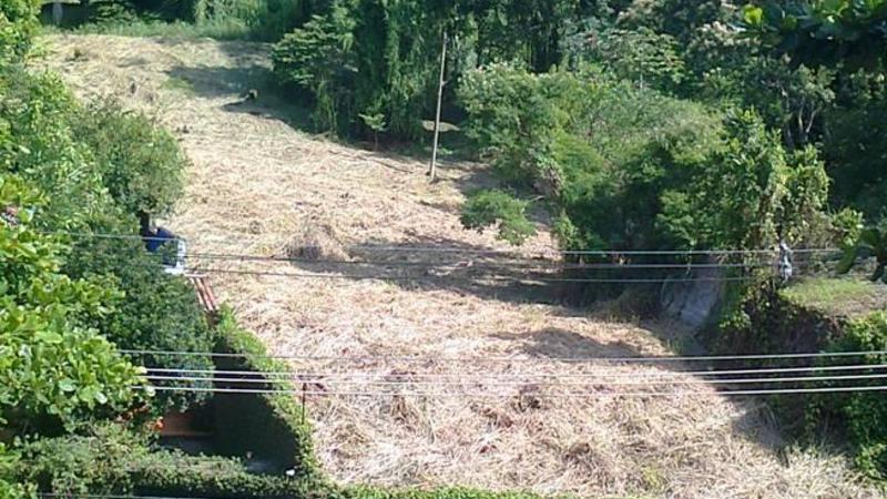 Pela preservação da Mata Atlântica do Horto: Não à construção do estacionamento! Pela preservação da Mata Atlântica do Horto: Não à construção do estacionamento!