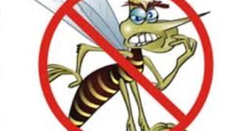 Operação Xô, mosquito! Operação Xô, mosquito!