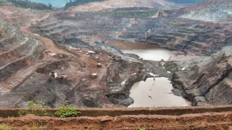 Deputados, não votem a nova legislação ambiental de Minas sem consultar a população! Deputados, não votem a nova legislação ambiental de Minas sem consultar a população!