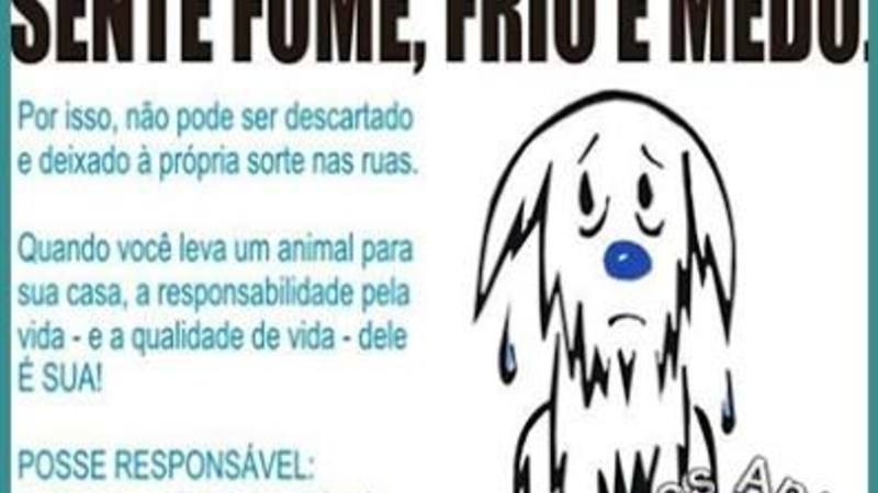 Acolhimento de animais abandonados Acolhimento de animais abandonados
