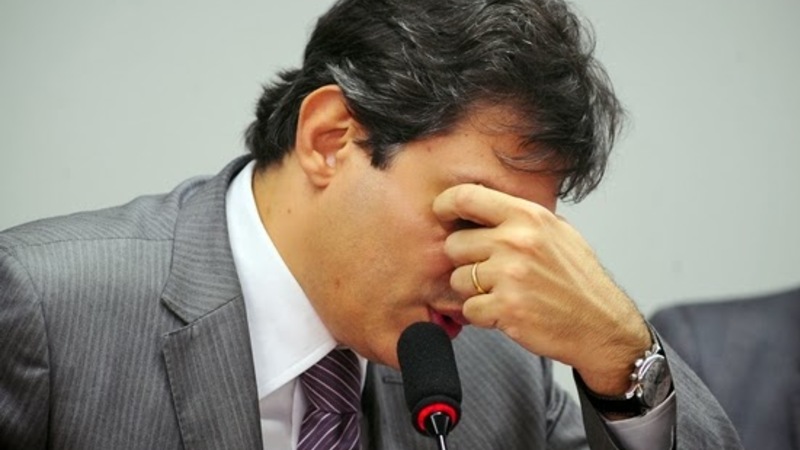 Haddad, vete os artigos do Zoneamento que ameaçam o verde de SP! Haddad, vete os artigos do Zoneamento que ameaçam o verde de SP!