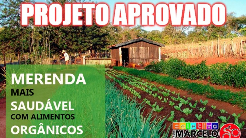 Prefeito: queremos orgânicos na merenda escolar Prefeito: queremos orgânicos na merenda escolar